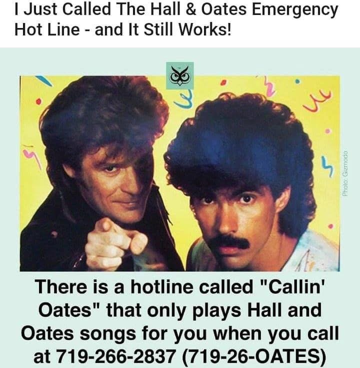 Callin Oates Hall and Oates hotline graphic showing the phone number