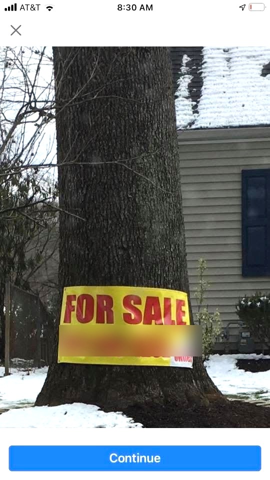 Tree with a for sale sign